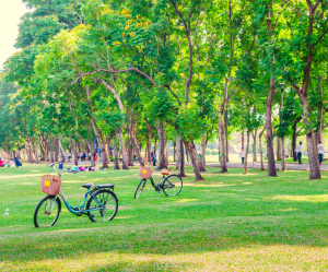 Parques gratuitos de Jundiaí