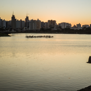 Parques que Encantam em São Paulo